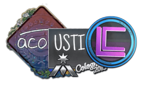 CS2 sticker combo spelling ACOUSTIC