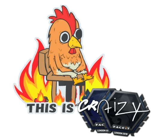 CS2 sticker combo spelling THIS IS CRAIZY
